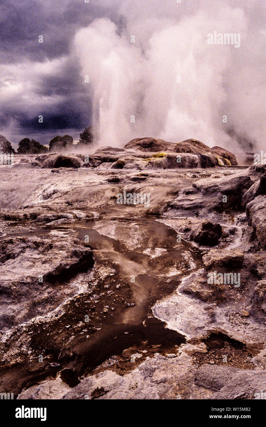 La Nuova Zelanda. Rotorua, noto per la sua attività geotermica, e caratteristiche di geyser - in particolare il Pohutu Geyser di Whakarewarewa - e piscine di fanghi caldi. Questo t Foto Stock