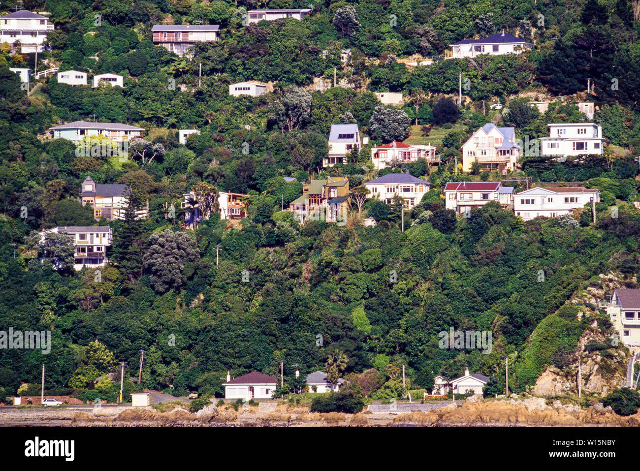 Nuova Zelanda, Isola del nord, Wellington. Waterside proprietà nei sobborghi. Fotografia scattata da novembre 1989. Foto: © Simon Grosset. Archivio: digitis immagine Foto Stock