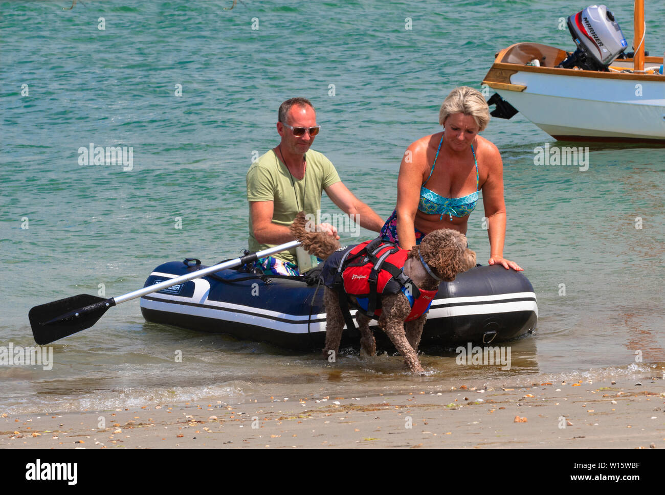 Giovane con cane nella vita giacca arrivare alla spiaggia in gomma gonfiabile a West Wittering, porto di Chichester, West Sussex, in Inghilterra, Regno Unito Foto Stock