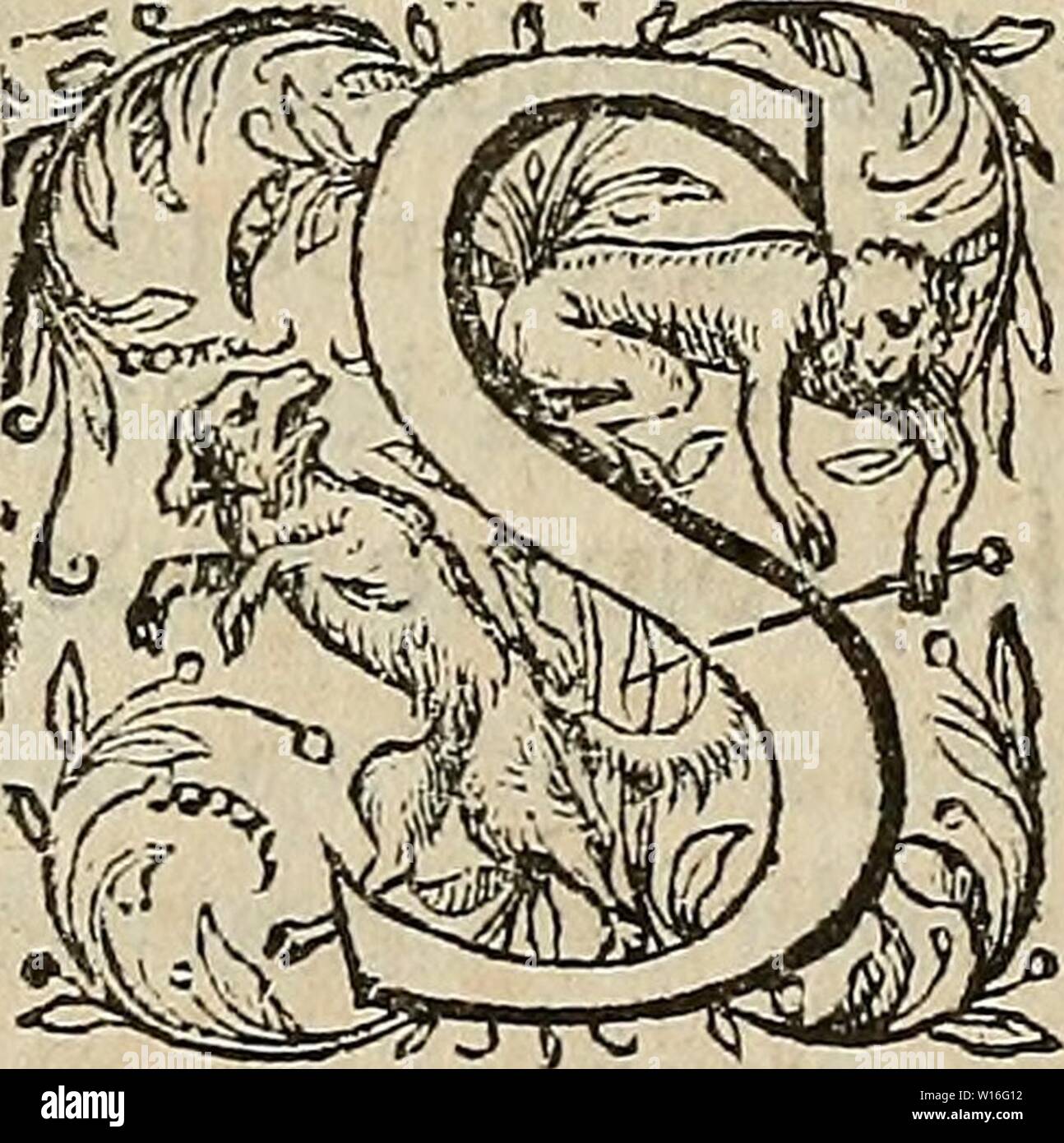 Immagine di archivio da pagina 279 di Devx Livres des venins, ausquels. Devx Livres des venins, ausquels il est amplement discouru des bestes venimeuses, theriaques, veleni . devxlivresdesven00gr Anno: 1568 Mumç, TunguSy Champignon. 'Il fut iamais neceflaire d'efcrireles re- mèdes encontre les venins, pour obuier. aux inconueniens Se aux aguets mortels, lefquels par la malice des hommes nous font dreftez le plus fouuenf c'eft mainte- nant qu'il faut mettre peine delesrecer- cher éc mettre en auant en l'esplicitazione de ce poifonIequel ne nous eft offert en cachette par nollre ennemy,ny fardé defgu unità organizzativa Foto Stock