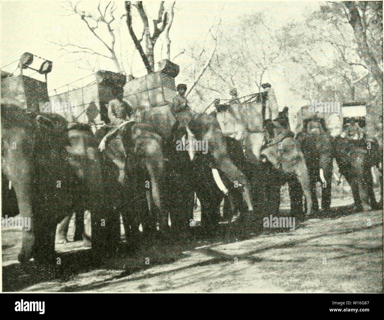 Immagine di archivio da pagina 280 del diario di un atleta. Il diario di un naturalista sportivo in India . diaryofsportsman00steb Anno: 1920 THK LINEA DI ELEl'HANTS CROSSINi; UN KIVEK KX ROC'//-: IHE TIGER TUNi.I.ES nelle province unite TEKAl IIOWIKVH ELEFANTI I.lNEl' IP INSPKCIION EOR P,k|d|;E 111E SIART per un giorno di TK;ER Sllool INC. Foto Stock