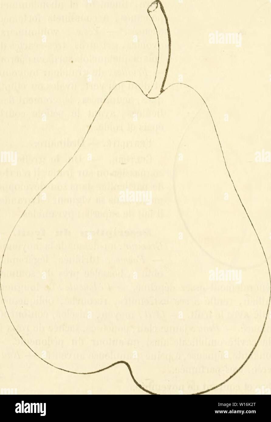 Immagine di archivio da pagina 303 del Dictionnaire de pomologie, contenant l'histoire,. Dictionnaire de pomologie, contenant l'histoire, la descrizione, la figura di frutti des Anciens et des frutti modernes les plus connus gÂnÂralement et cultivÂs . dictionnairedepo02lero Anno: 1867 294 JAC-JAL indnstriollo de la Mayenne. Soumise à l'examen de la SociÃtÃ d'orticoltura de Paris, cette variÃtÃ l'ut mÃdaillÃe en 1804 ; elle est fort dÃjÃ rÃpandue. Poire JACQUIJN. Â Synonyme de poire Henri IV. Voir ce nom. 592. PoiuK persiana. Synonymes. Â Poires : 1. IVOn ( le Lectier, d'OrlÃans, catalogo des arbres cu Foto Stock