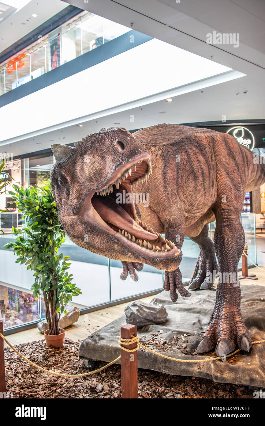 Lodz, Polonia, maggio 2019 Allosaurus dino, shopping entertainment center SUKCESJA, carnivoro theropod dinosauro, Allosaurus fragilis, Allosauridae Foto Stock