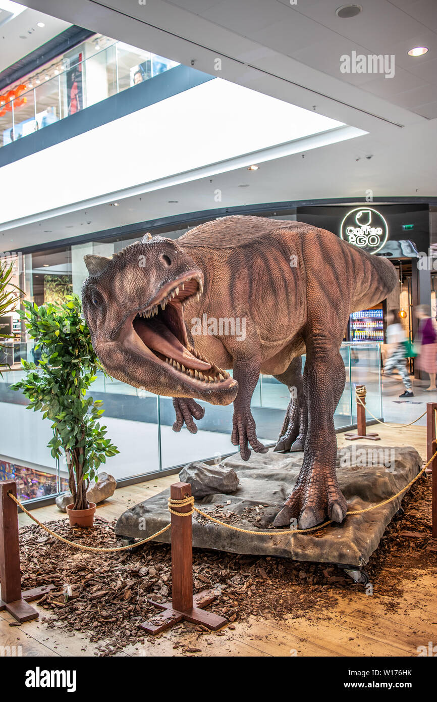 Lodz, Polonia, maggio 2019 Allosaurus dino, shopping entertainment center SUKCESJA, carnivoro theropod dinosauro, Allosaurus fragilis, Allosauridae Foto Stock