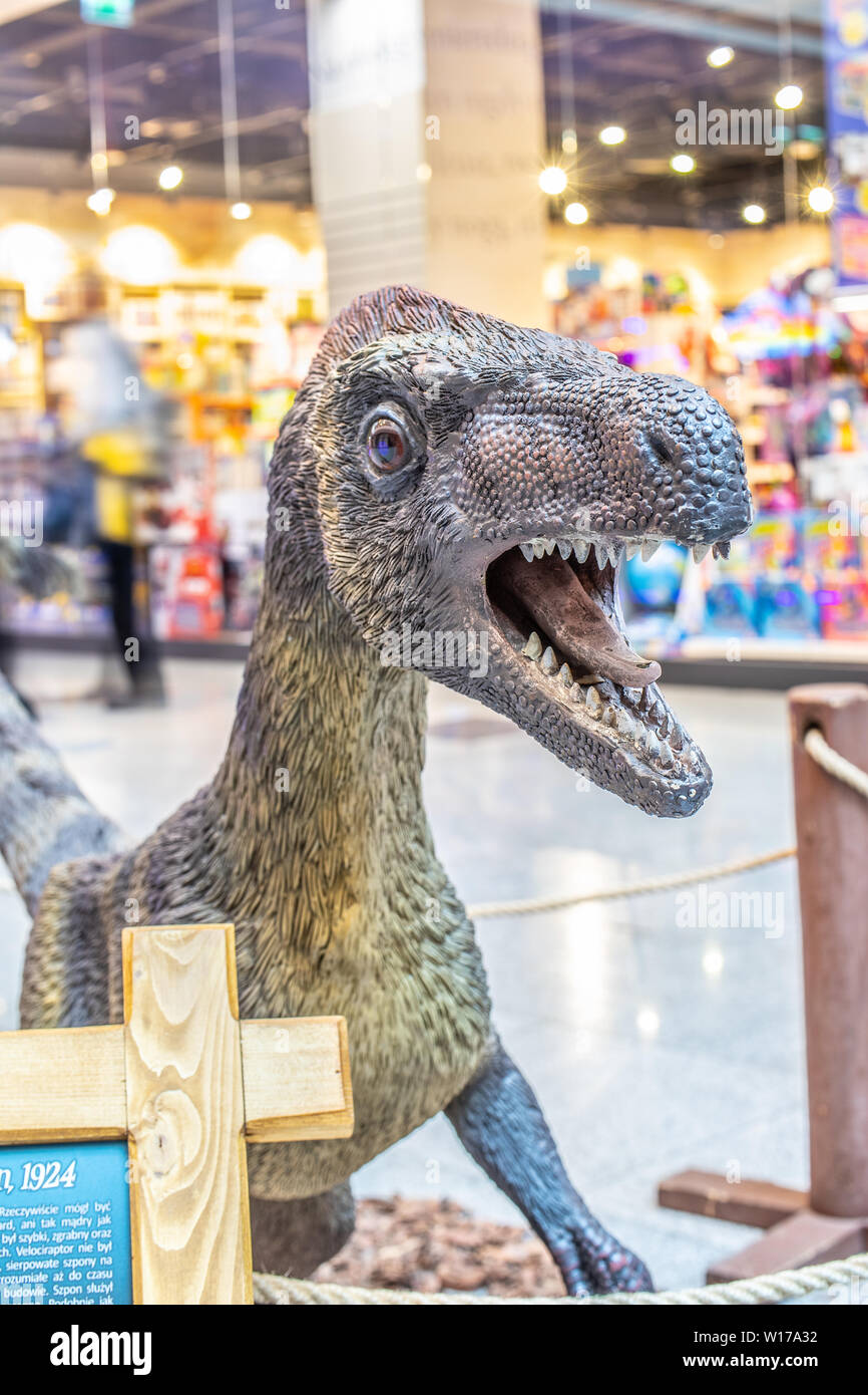 Lodz, Polonia, maggio 2019: Velociraptor in intrattenimento shopping center mall SUKCESJA, Velociraptor raptor è genere di dromaeosaurid theropod dinosauro Foto Stock