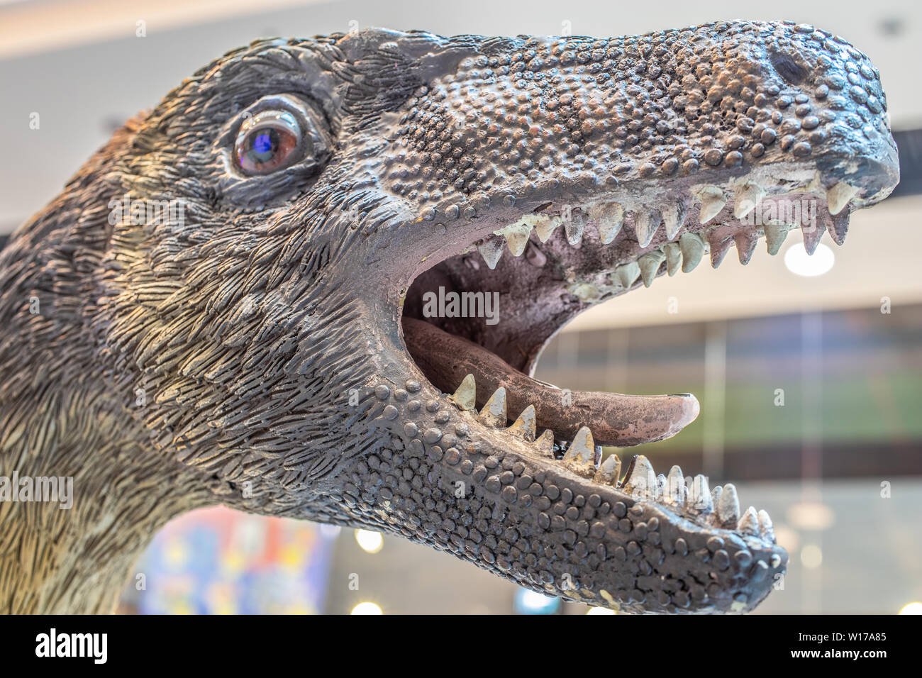 Lodz, Polonia, maggio 2019: Velociraptor in intrattenimento shopping center mall SUKCESJA, Velociraptor raptor è genere di dromaeosaurid theropod dinosauro Foto Stock