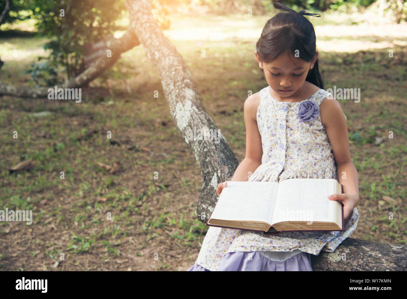 Ragazza carina la lettura di un libro nel parco. L apprendimento degli studenti dura fuori della scuola. Foto Stock