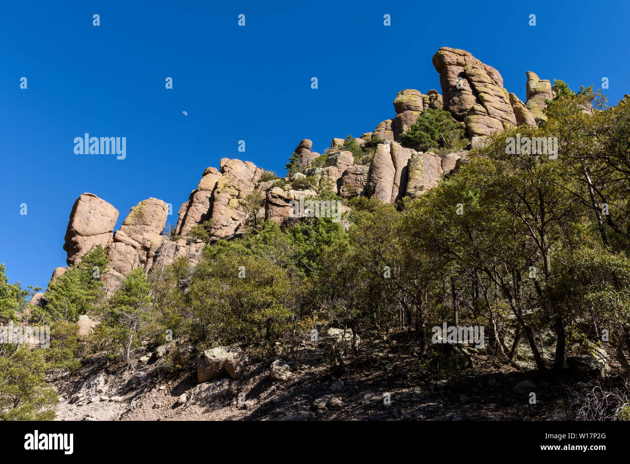 Organo a canne formazione a Chiricahua National Monument in Arizona del sud-est è una zona dove le rocce sono chiamati 'organo a canne formazione". Foto Stock