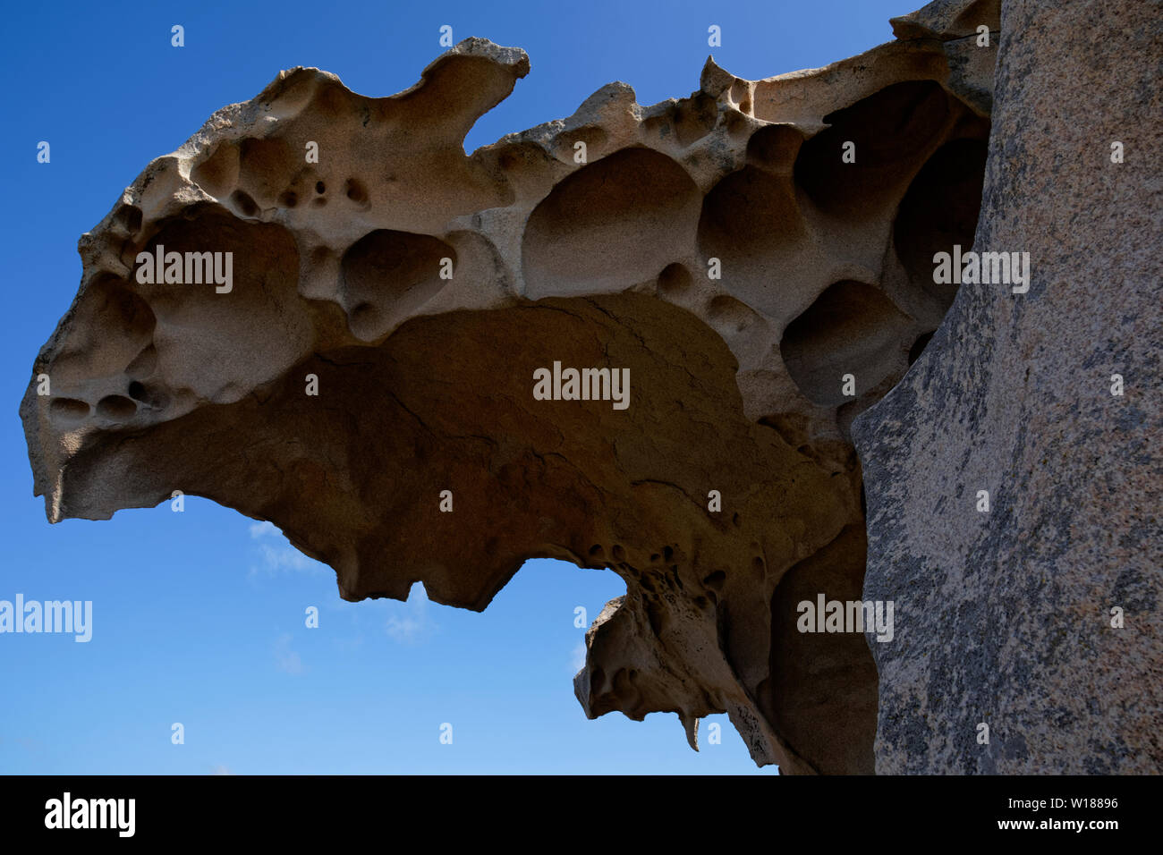 Testa della roccia dell'Orso (Bärenfels) a Capo d'Orso, Palau, Olbia-Tempio, Sardegna Italia Foto Stock