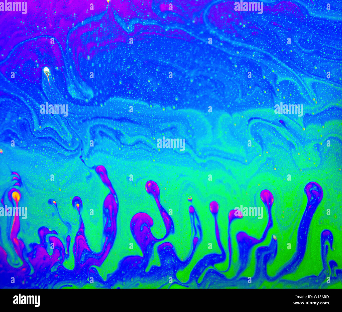 Sfondo psichedelico. Universo di fiori. Concept Art Design. Sfondo multicolore, disegno astratto Foto Stock