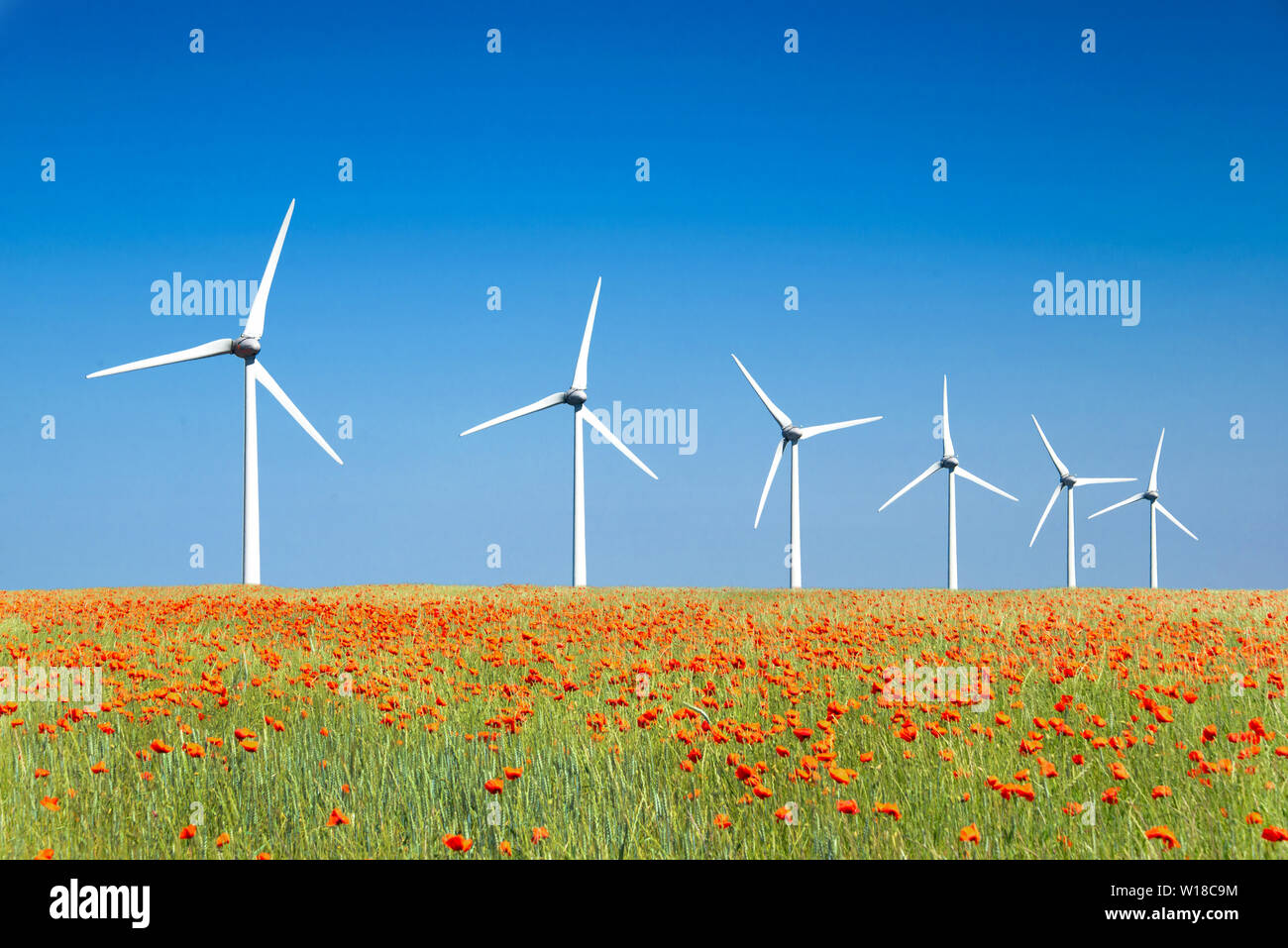 Grafica paesaggio moderno di turbine eoliche allineati in un campo di papaveri Foto Stock