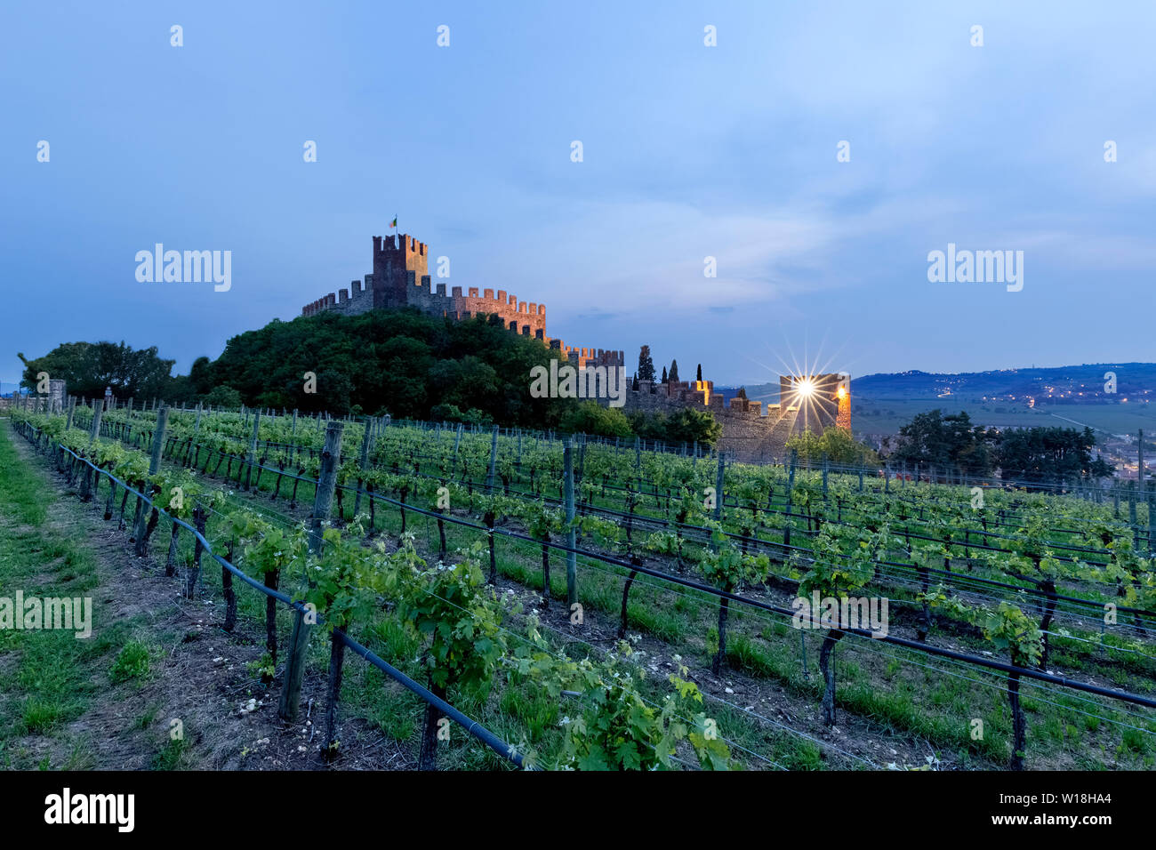 Il castello Scaligero e il vino Soave vigne. Soave, provincia di Verona, Veneto, Italia, Europa. Foto Stock