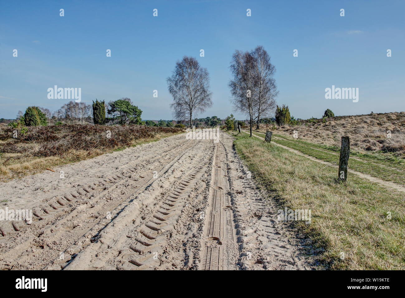 Infinite escursioni-, equitazione- carrello e sentieri conducono attraverso il Lueneburg Heath, una regione che è perfetto per vacanze attive con natura sensazionale ex Foto Stock