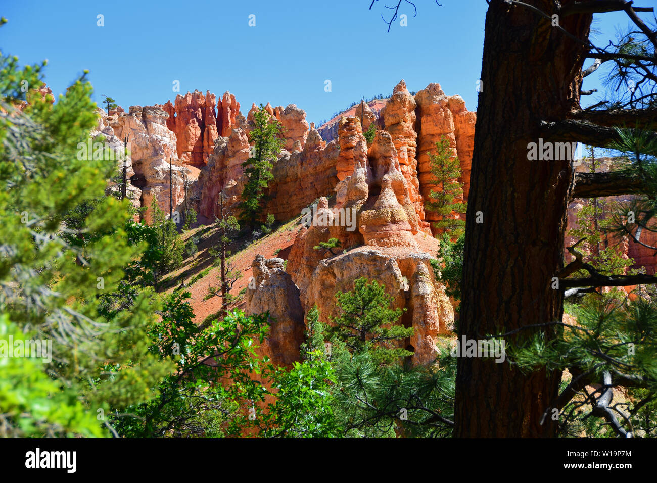 Le formazioni rocciose nella parte sud-ovest dello Utah, Stati Uniti d'America Foto Stock