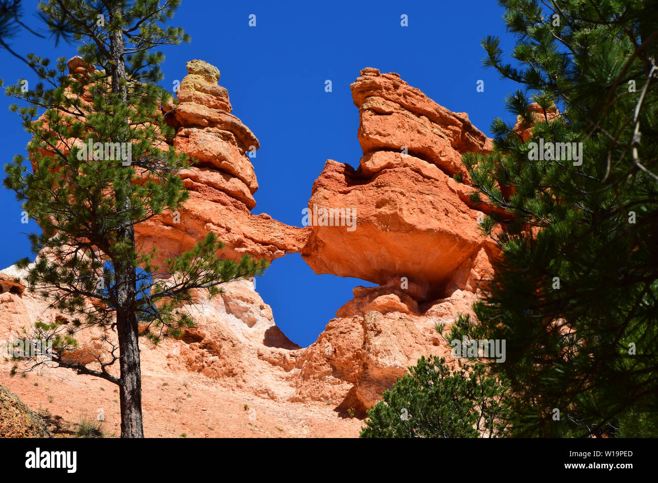 Le formazioni rocciose nella parte sud-ovest dello Utah, Stati Uniti d'America Foto Stock