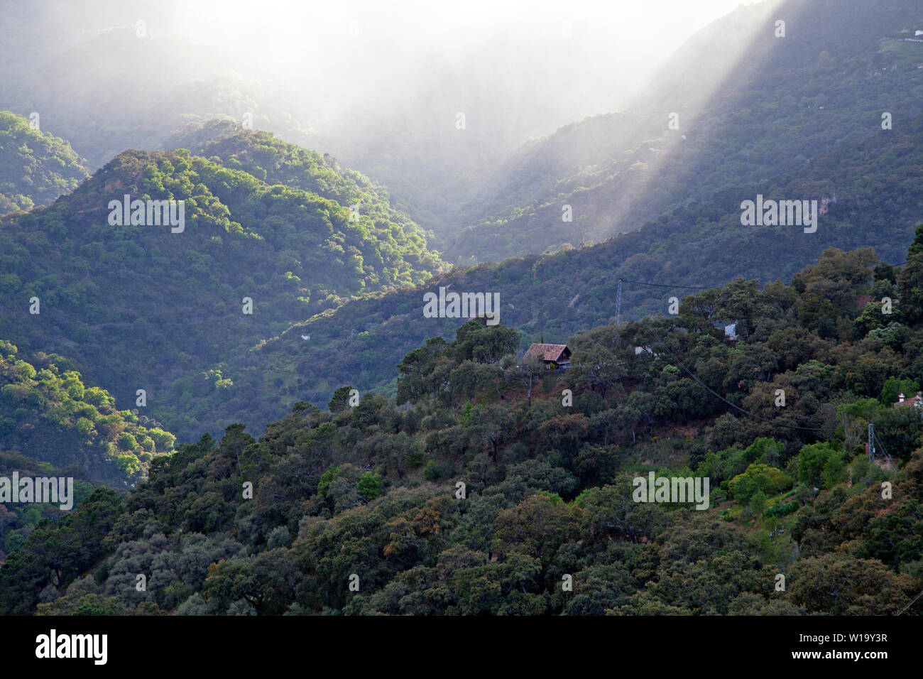 Ripidi pendii boscosi vicino al villaggio di Genalgaucil in Andalusia, Spagna. Foto Stock