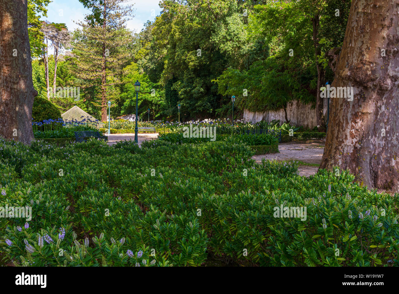 Mafra, Portogallo. Il 26 giugno 2019. giardino verde con alberi e piante a Mafra . Foto Stock