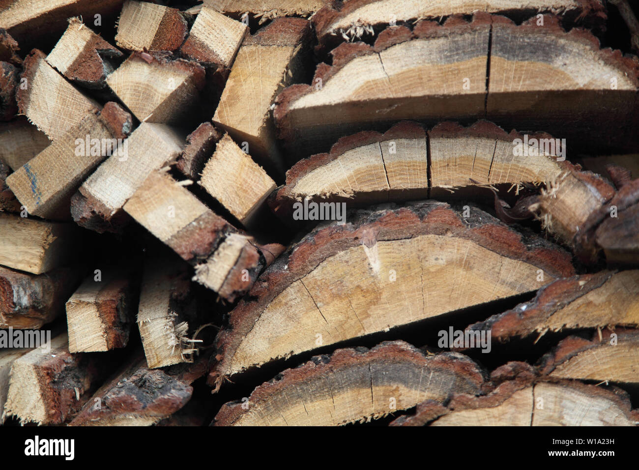 La foto è un sfondo di legno. Tagliare la betulla Foto Stock