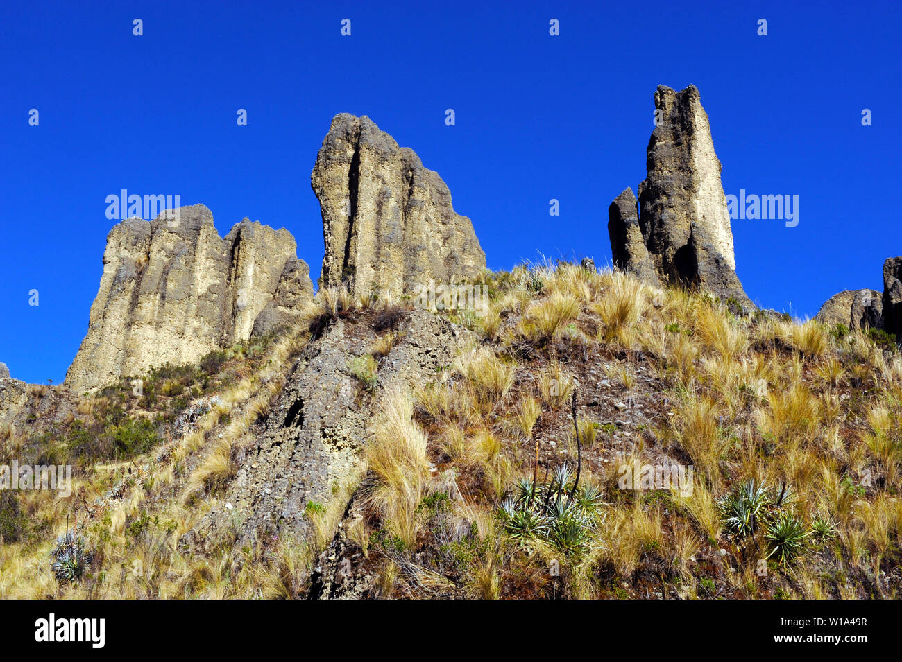 La Valle De Las Animas Foto Stock