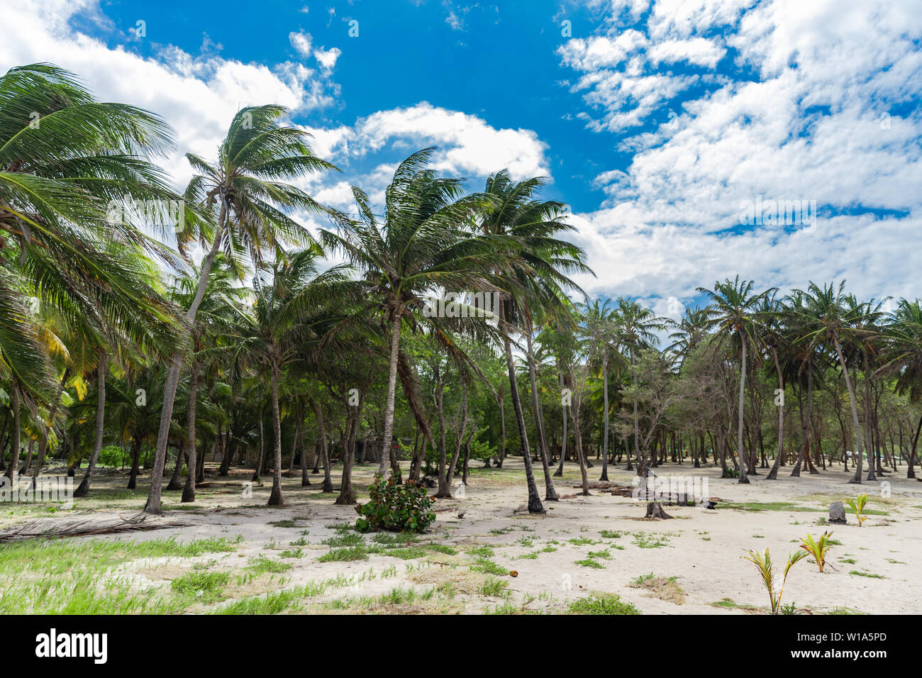 Saint Vincent e Grenadine, Mayreau, Salt Whistle Bay Foto Stock