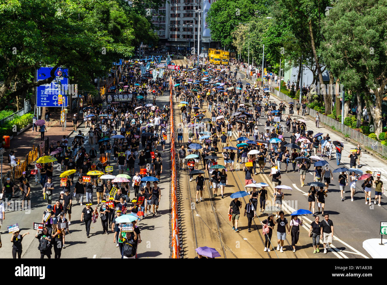 Hong Kong 2019 legge estradizione marcia di protesta il 1 luglio i manifestanti portano ombrelli per proteggersi contro il sole cocente Foto Stock