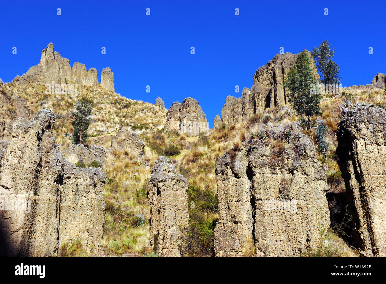 La Valle De Las Animas Foto Stock