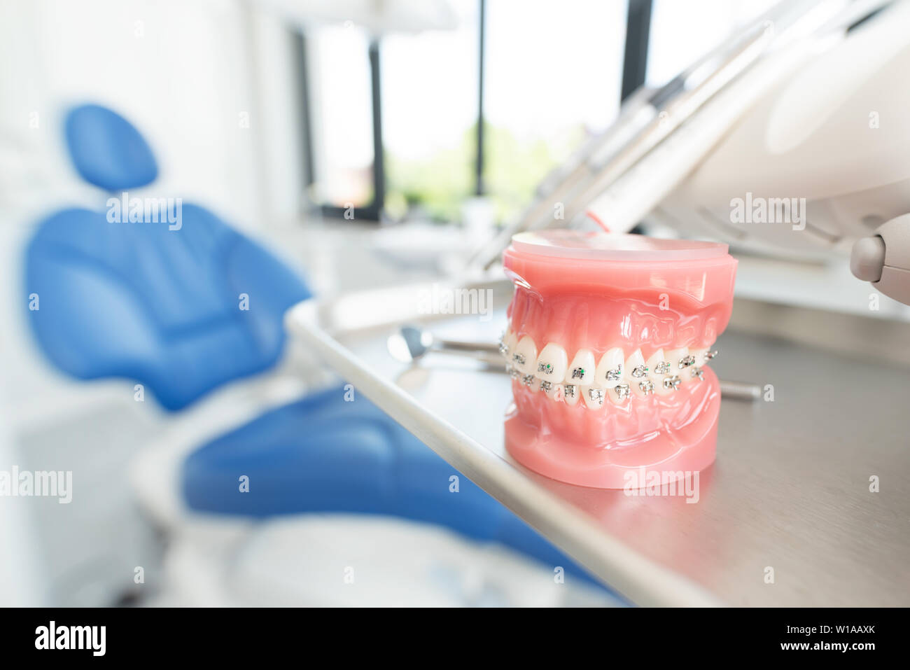 Modello a ganascia in dentisti in ufficio. Odontoiatria, cure dentarie,denti sani concetto Foto Stock