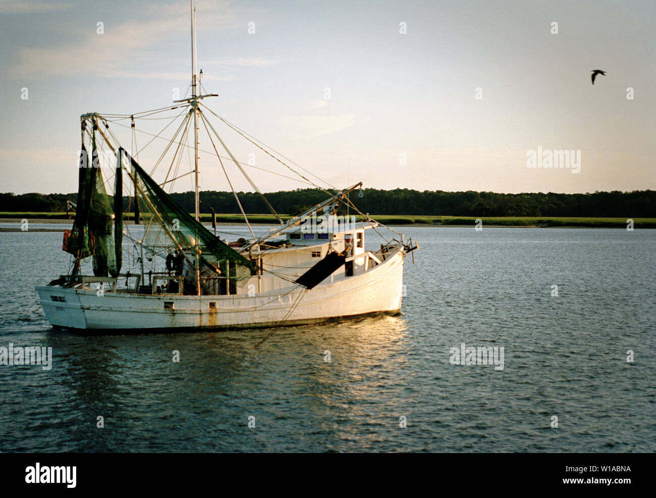 Barca da pesca sulle rive di un fiume. Foto Stock