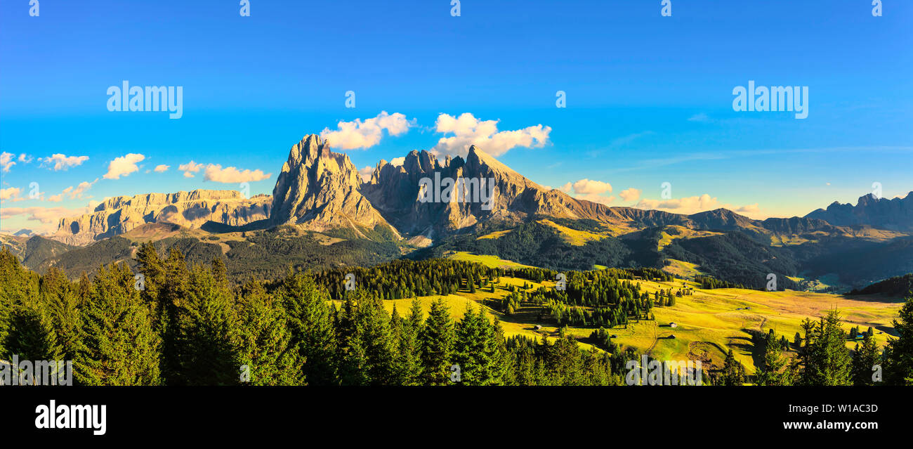 Alpe di Siusi o Alpe di Siusi, Alpi Dolomitiche del Sassolungo e Sassopiatto montagne, Trentino Alto Adige Sud Tirolo, Italia, Europa Foto Stock