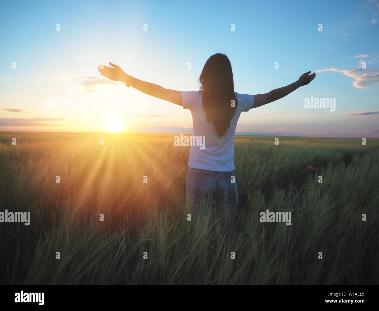 Sentimento donna libera in un bellissimo ambiente naturale, in quale campo al tramonto Foto Stock