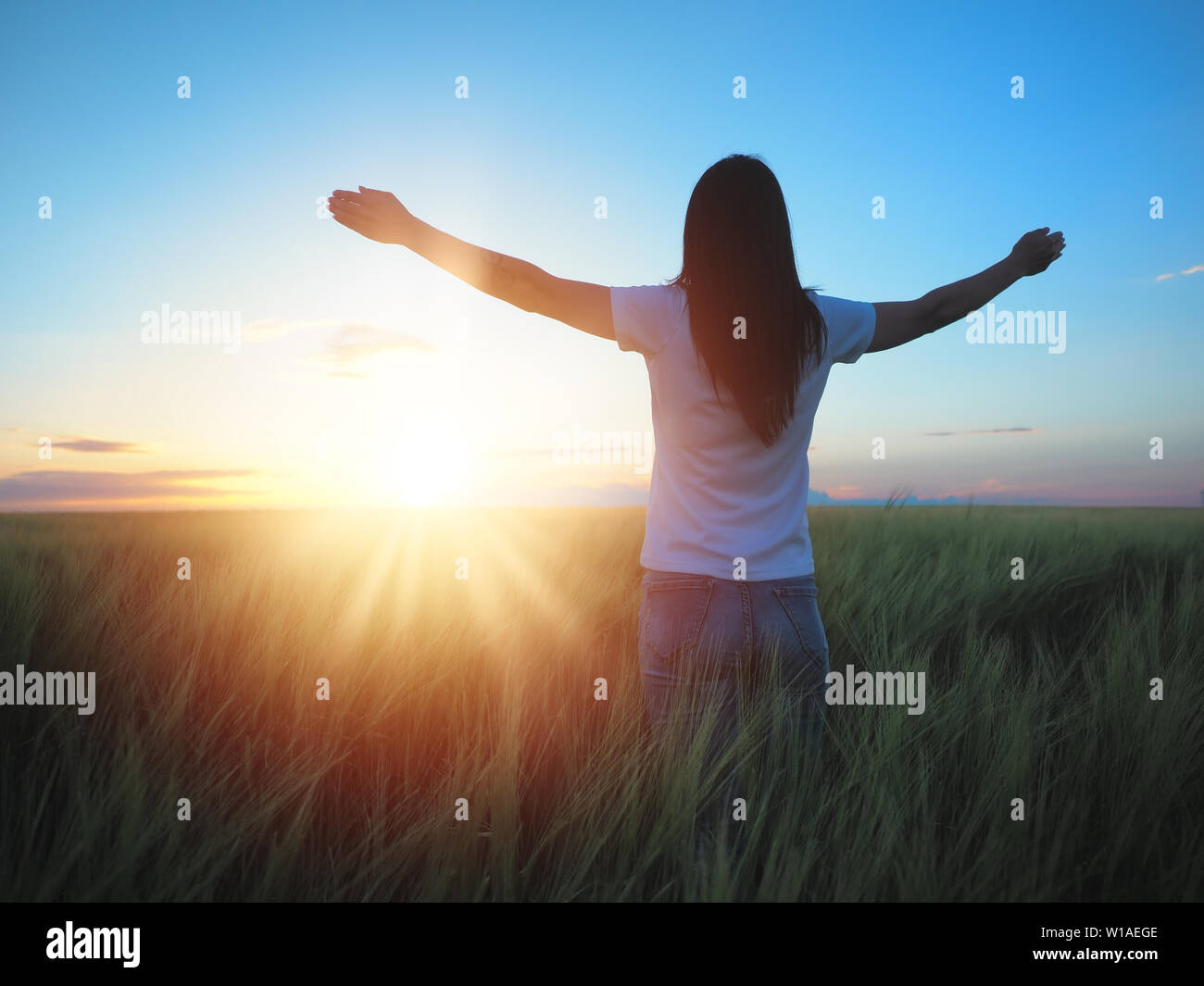 Sentimento donna libera in un bellissimo ambiente naturale, in quale campo al tramonto Foto Stock