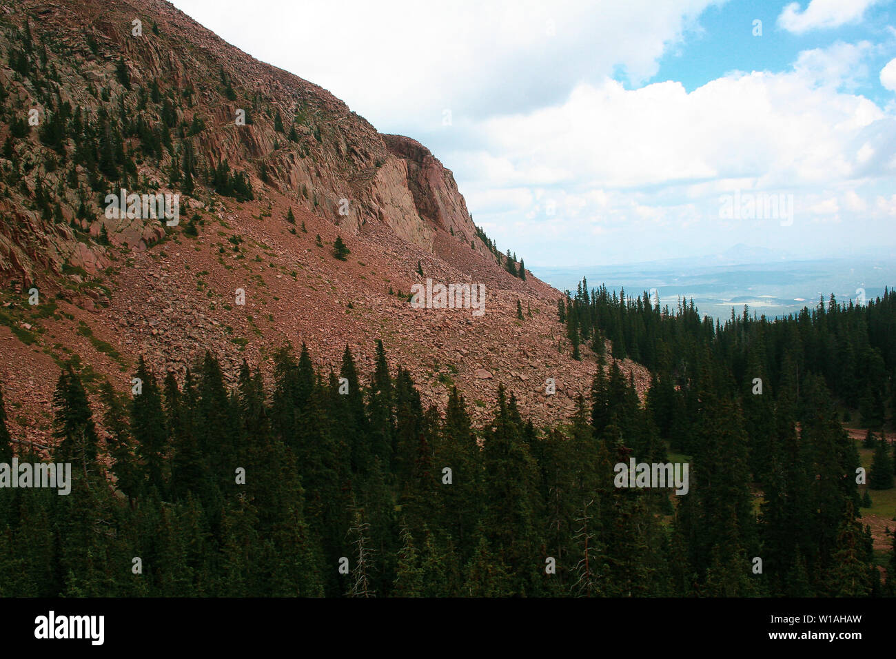 Paesaggio di montagna con nuvole e alberi sempreverdi su una primavera o estate giorno Foto Stock