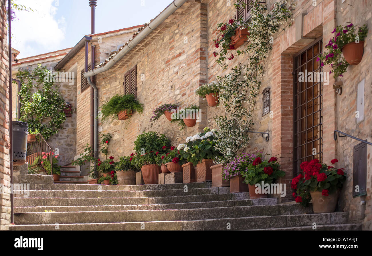 Montone, Umbria, Italia Foto Stock