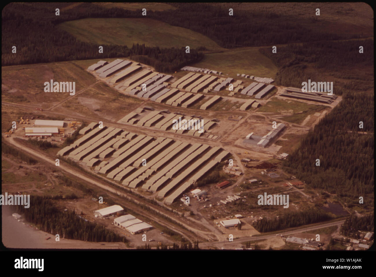 ALYESKA SERVIZIO PIPELINE AZIENDALE PIPEYARD FAIRBANKS, CON PIÙ DI 200 MIGLIA DI 48-pollice tubo. La maggior parte delle lunghezze sono da 50 a 60 piedi vicino a 445 Foto Stock