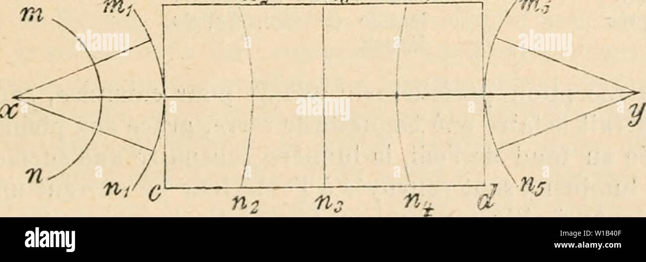 Immagine di archivio da pagina 310 di Dictionnaire de physiologie (1913). Dictionnaire de physiologie . dictionnairedeph09ricco anno: 1913 riâ FiG. 2C. Marche d'onu ra ou ocm daus cylindi ONU-c-lentillo. (DaprÃ¹S ExNER.) nique sensible sur lo pi,i;iueiil rÃtinien ciiez les Insectes (contrariamente Ã ce qui un lieu pour les CrustacÃs), il n'en est pas dn mÃªme pour la couche pÃ¹ripliÃrique, qui, suivant les variazioni d'intensitÃ lumineuse, fonctionne comme iris onu nazioni unite atteignant trí¨s haut degrÃ de la perfezione. Si l'On fait en effet deux prÃparations de l'Åil portant sur deux Insectes de nirme espÃ¨ce, l'u Foto Stock