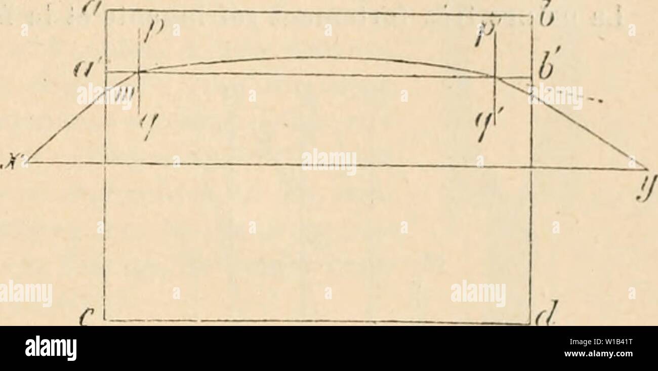 Immagine di archivio da pagina 310 di Dictionnaire de physiologie (1913). Dictionnaire de physiologie . dictionnairedeph09ricco anno: 1913 INSECTES. 301 riâ FiG. 2C. Marche d'onu ra ou ocm daus cylindi ONU-c-lentillo. (DaprÃ¹S ExNER.) nique sensible sur lo pi,i;iueiil rÃtinien ciiez les Insectes (contrariamente Ã ce qui un lieu pour les CrustacÃs), il n'en est pas dn mÃªme pour la couche pÃ¹ripliÃrique, qui, suivant les variazioni d'intensitÃ lumineuse, fonctionne comme iris onu nazioni unite atteignant trí¨s haut degrÃ de la perfezione. Si l'On fait en effet deux prÃparations de l'Åil portant sur deux Insectes de n Foto Stock
