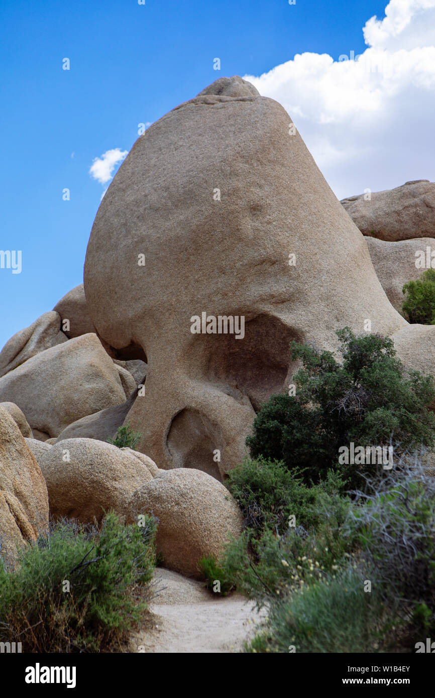 Cranio Rock a Joshua Tree National Park, California, Stati Uniti d'America Foto Stock