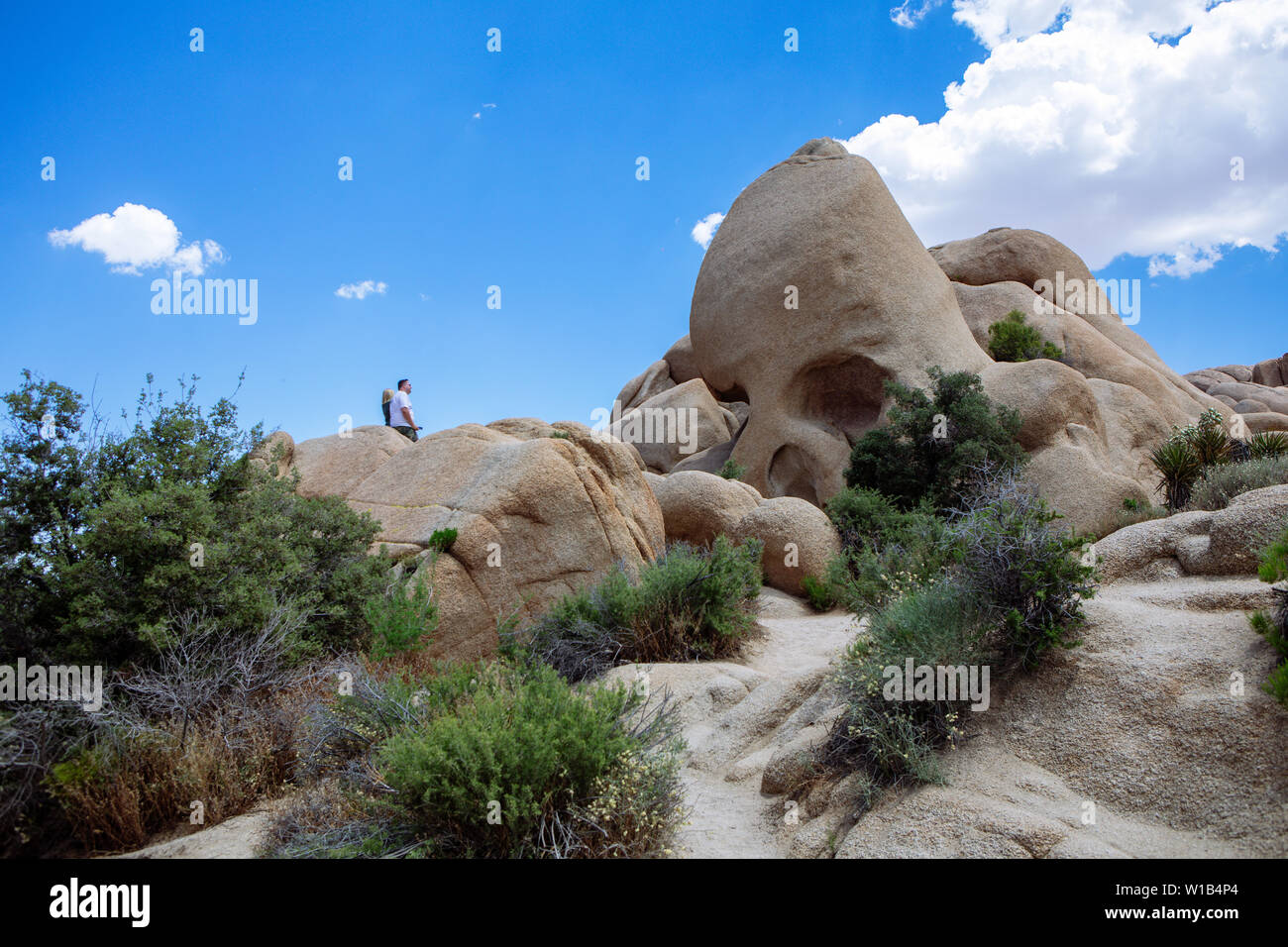 Cranio Rock a Joshua Tree National Park, California, Stati Uniti d'America Foto Stock