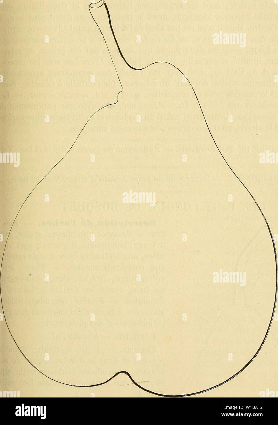 Immagine di archivio da pagina 354 del Dictionnaire de pomologie contenant. Dictionnaire de pomologie : contenant l'histoire, la descrizione, la figura di frutti des Anciens et des frutti modernes les plus connus gÃnÃralement et cultivÃs . dictionnairedepo002lero Anno: 1867 LIV 347 Poire de Livre. j'admets alors, sur la seule ressemblance de leur nom, l'identità de ces deux poi- riers. Tou- tefois une scelto Ãton- ne , aprÃ¨s la lecture du texte ci-des- sus : c'est de rencontrer divers au - teurs et tra- ducteurs qui soutiennent que notre poire de Li- vre se rap- porte à la variÃtÃ appe- lÃe Volema, ou Foto Stock