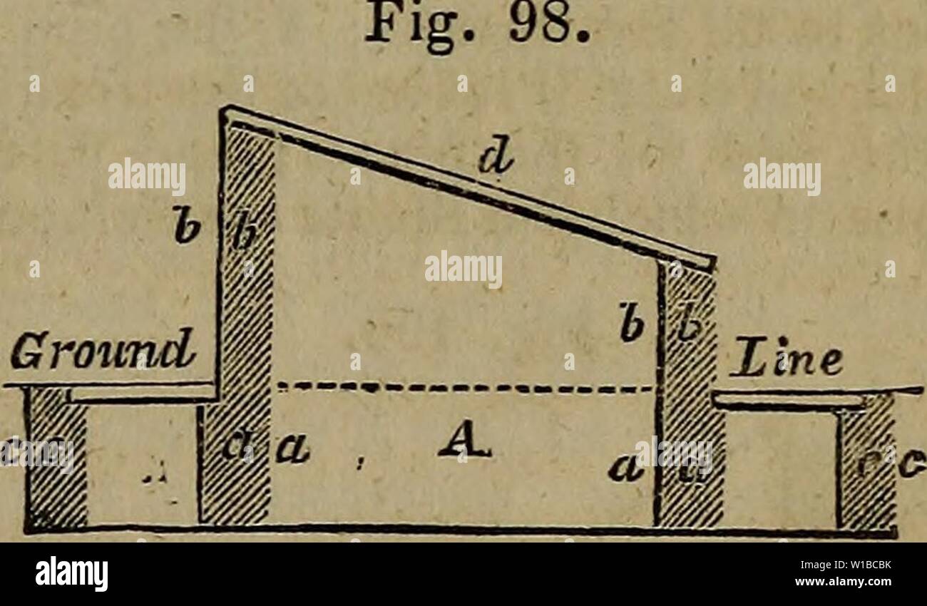 Immagine di archivio da pagina 366 di un dizionario di giardinaggio moderno. Un dizionario di giardinaggio moderno . dictionaryofmode01john Anno: 1847 MEL 371 -♦- MEL MELISSA. Balsamo. Quattro specie. Hardy piante erbacee perenni. La divisione. Un terreno comune. MELITTA melissophyllum e due varietà. Hardy piante erbacee perenni. La divisione. Un terreno comune. MELOCACTUS. Melon thistle. Quattordici specie. Stufa arbusti sempreverdi. Offset. Sandy torba. MELODINUS. Due specie. Stufa twiners sempreverdi. Le talee. Il terriccio e torba. MELOLONTHA, il Cockchafer. M. vulgaris. Cockchafer comune. M. horticolo. May-Bug o Bracken- orologio. Feed fino Foto Stock