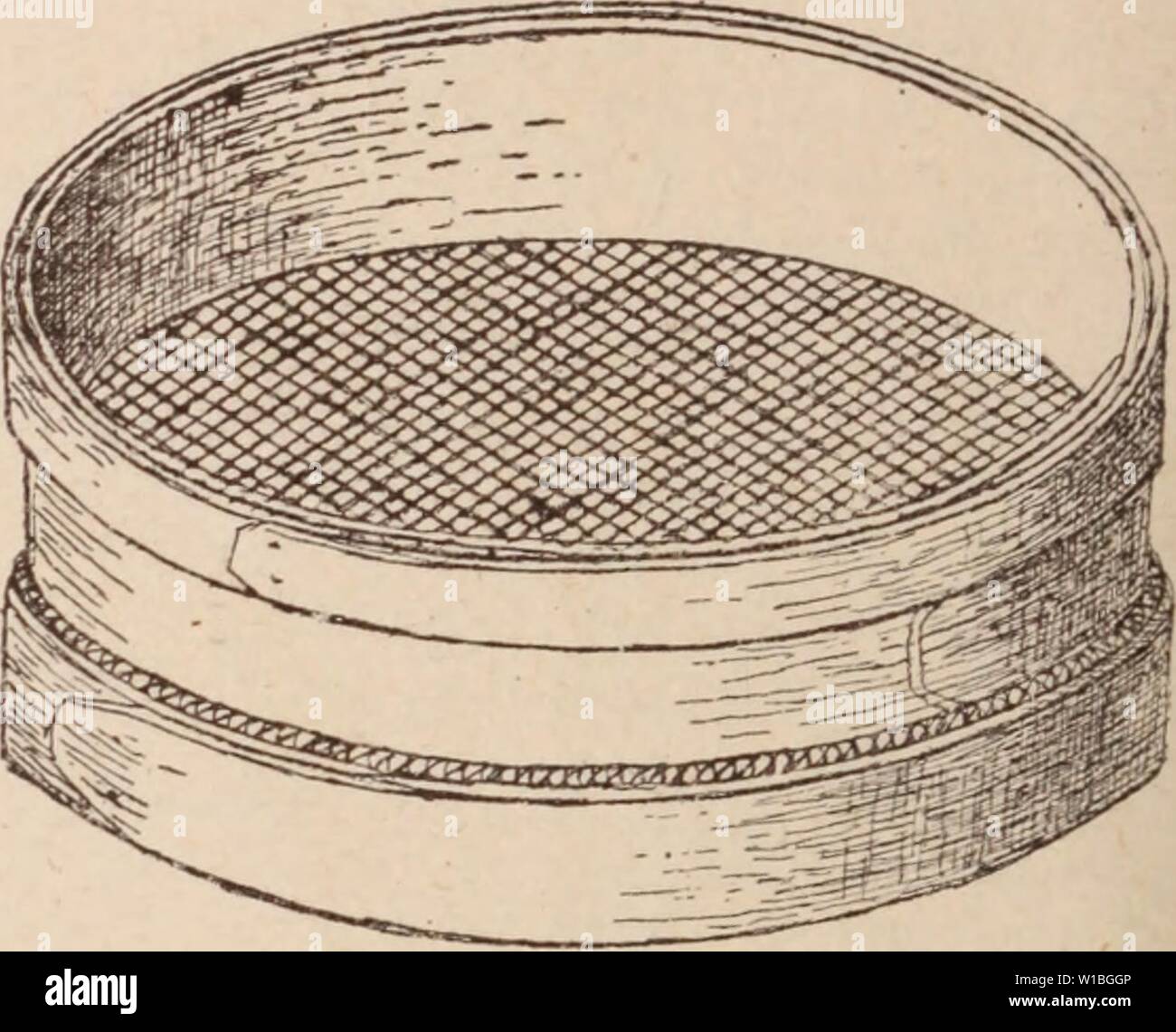 Immagine di archivio da pagina 399 di Dictionnaire d'orticoltura illustré par. Dictionnaire d'orticoltura illustrÃ / par D. prÃface Bois de Maxime Cornu avec la collaboration de E. AndrÃ ... [Et al.]. . Dictionnairedhor00bois Anno: 1893 crescione. Â 392 .â CRINUM. Il crescione (americana). Nom angl. du Barbarea praecox crescione (Gardem. Angl nom du Cresson alÃnois. Il crescione (acqua). Nom angl. du Cresson de fon- taine. CRESSON alÃnois (Lepidium sativum L.) (Cru- cifÃ¨res.) Vulg. : Passerage cultivÃ. Â Perse. Â Annuel, cultivÃ depuis trí¨s longtemps comme fornitura de salade à l'Ãtat jeune; file, TRÍ¨s nombreu Foto Stock