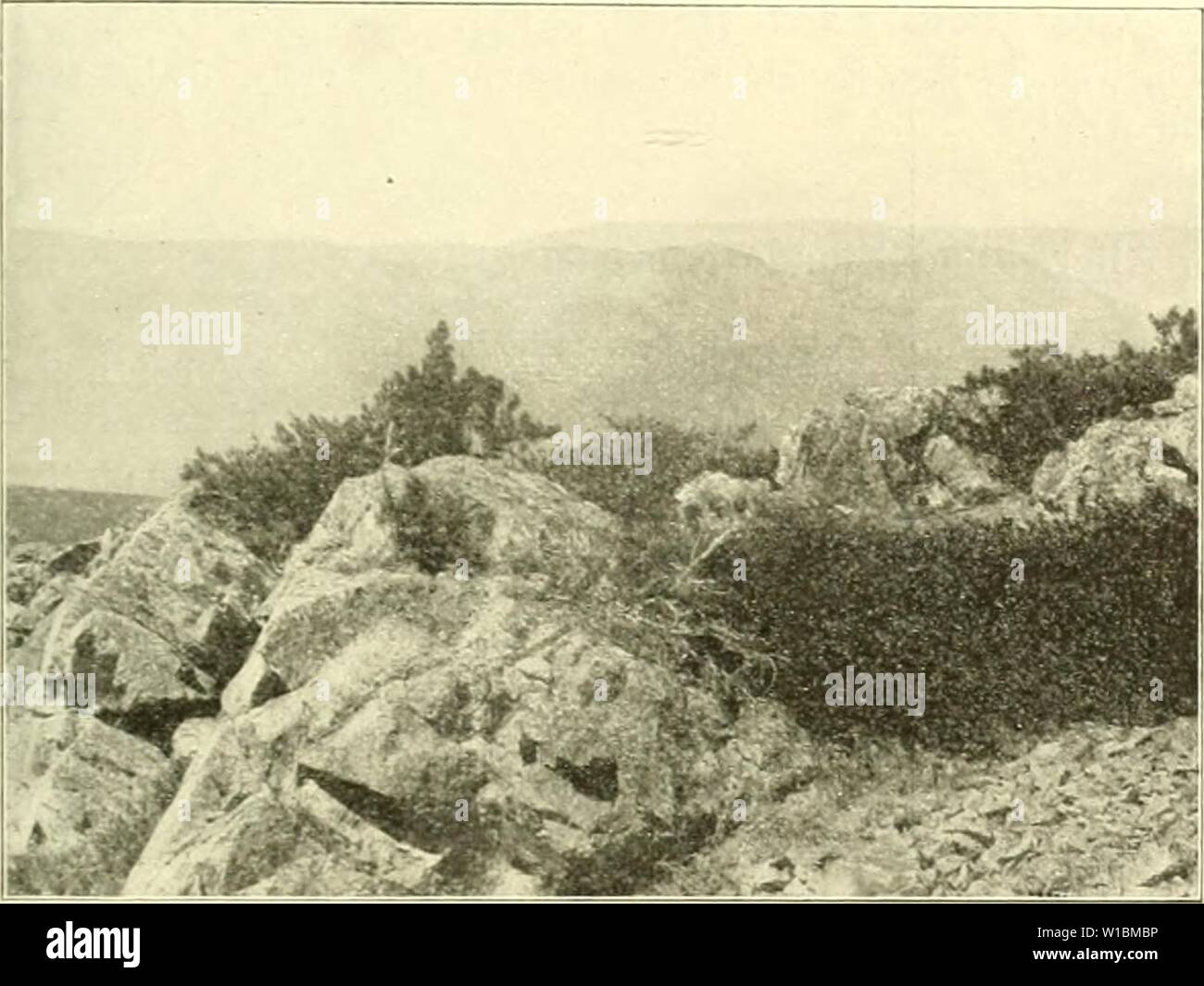 Immagine di archivio da pagina 428 di morire Arve in der Schweiz Foto Stock