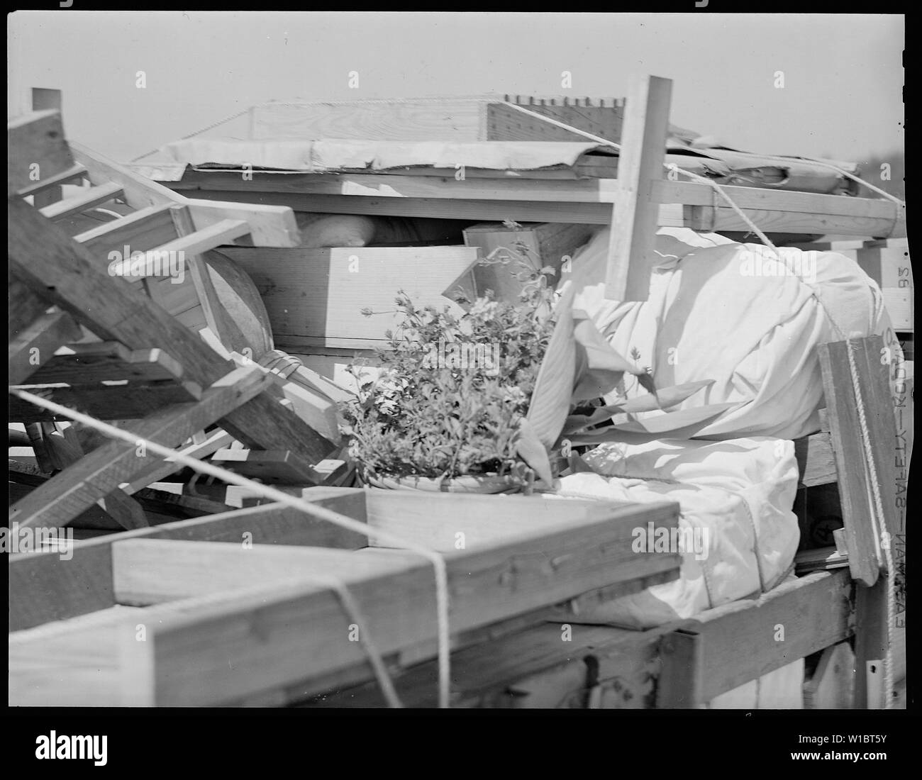 La chiusura del Jerome Relocation Center, Denson, Arkansas. Molti amanti dei fiori tra i residenti b . . .; Portata e contenuto: tutta la didascalia per questa fotografia si legge: Chiusura del Jerome Relocation Center, Denson, Arkansas. Molti amanti dei fiori tra i residenti di essere spostata da Girolamo al centro Rohwer scavato il loro giardini di reimpianto. Qui una vasca di fiori si vede la nidificazione in mezzo a un camion carico di arredi domestici. Foto Stock