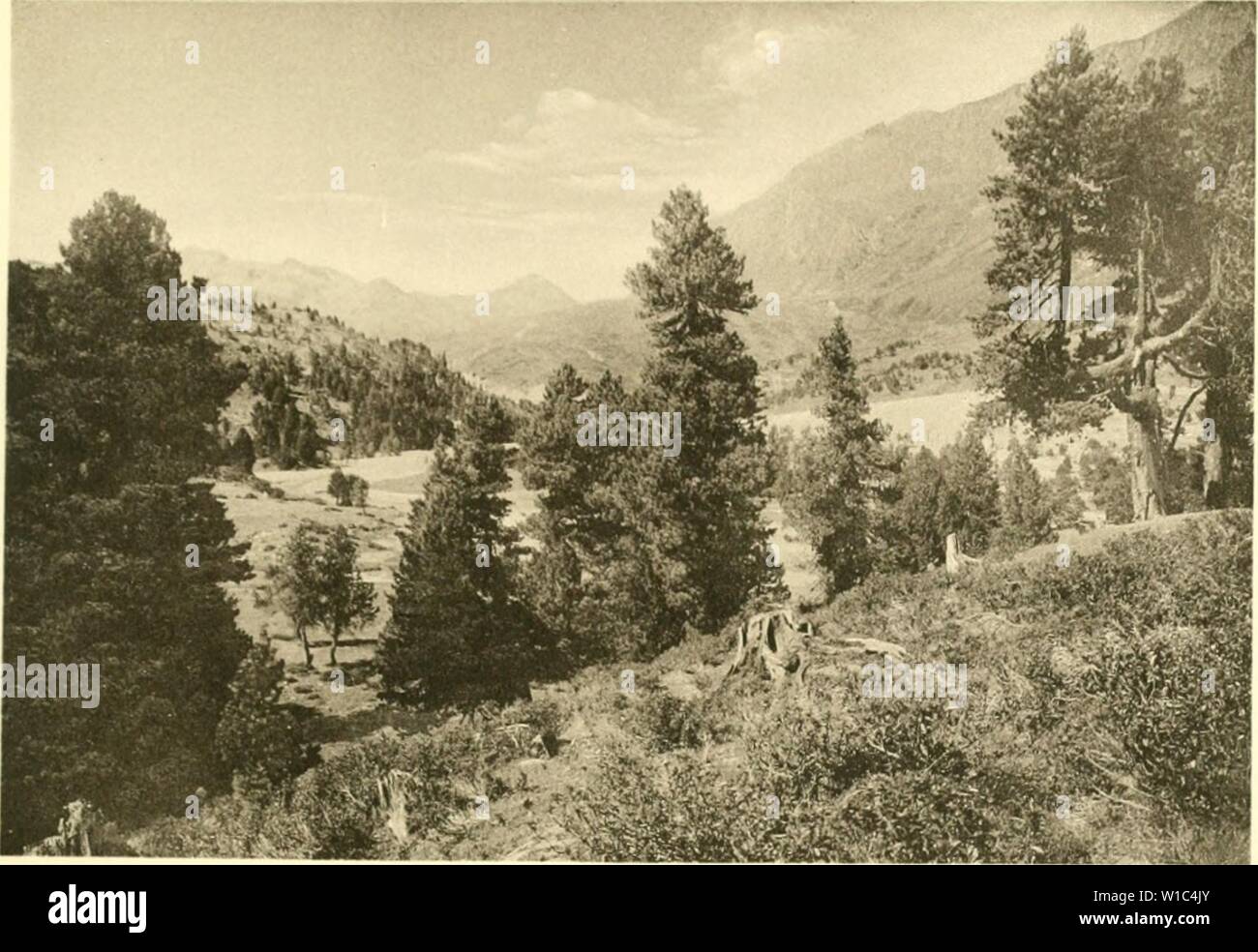 Immagine di archivio da pagina 522 di morire Arve in der Schweiz Foto Stock