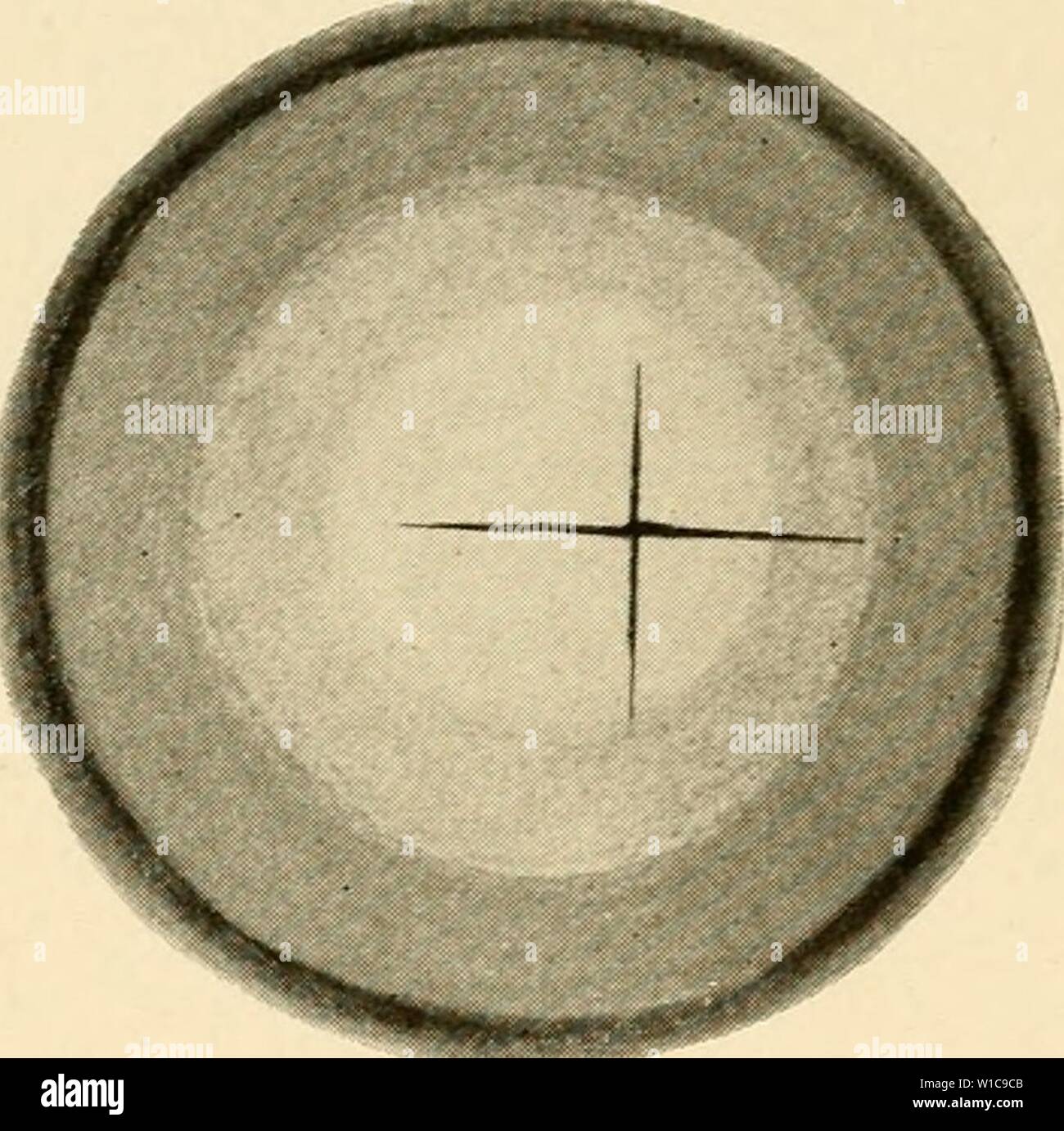 Immagine di archivio da pagina 57 dello sviluppo del pulcino;. Lo sviluppo del pulcino; un introduzione alla embriologia . developmentofchi00lill Anno: 1908 Foto Stock