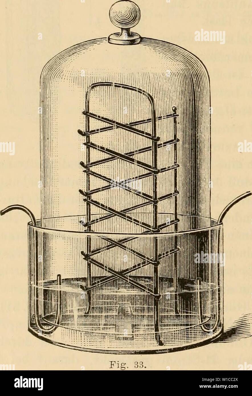 Immagine di archivio da pagina 591 di Die mikroorganismen Mit besonderer berücksichtigung Foto Stock