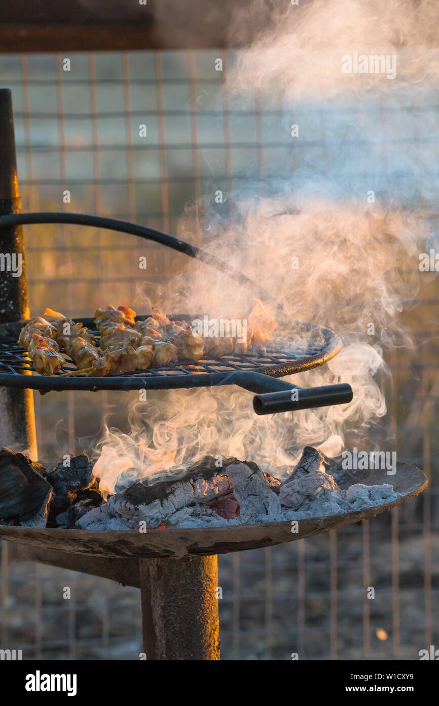 Spiedini di pollo o kebab grigliare su carboni caldi o braci su un barbecue all'aperto nel bush Africano al tramonto con fumo di vorticazione che lo circonda Foto Stock