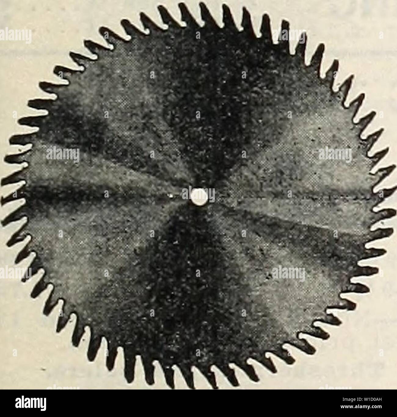 Immagine di archivio da pagina 82 del giubileo di Diamante settantacinquesimo anniversario (1935). Diamond giubileo settantacinquesimo anniversario . diamondjubilee751935la grif Anno: 1935 con saldamente imbullonate insieme. Completare il peso di spedizione, 250 libbre. Senza Lama.. Con 22-ihch sega con 24 pollici visto ..$25.75 con 26 pollici visto..   29.05 con 28 pollici visto  .. 29.65 Con 30 pollici visto.. .$30.25   31.00 .- 31.75 GRITCO SEGHE CIRCOLARI le seghe sono il risultato di oltre cinquanta anni di studio e di esperienza. In assoluto il miglior acciaio è sempre utilizzata e ciascuna pala è dato un duro, anche temperamento e per- fect tensione, tutti dei quali è essentia Foto Stock