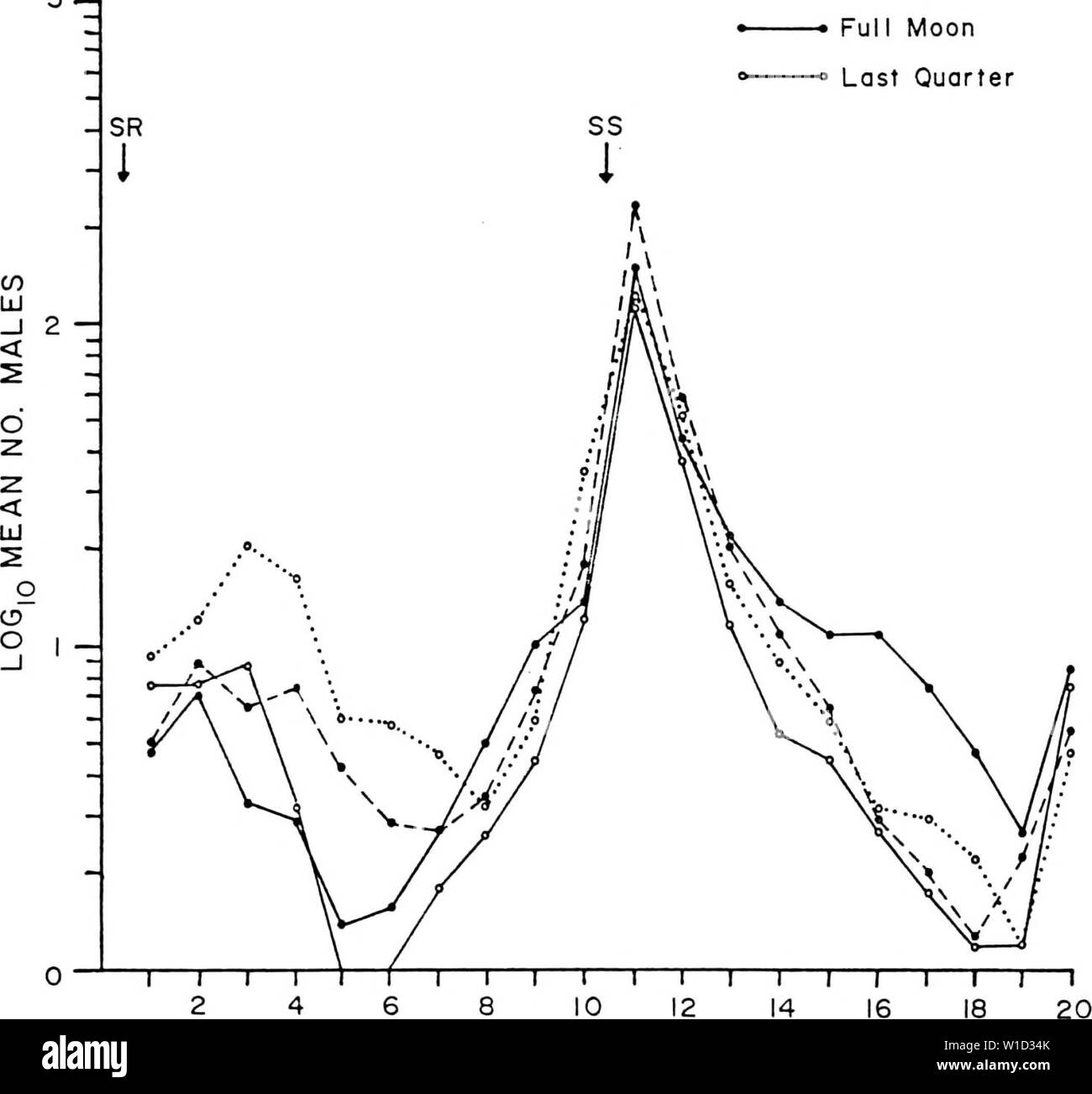 Immagine di archivio da pagina 87 del Diel e attività stagionali del. Diel e attività stagionali di Culicoides spp. Vicino a Yankeetown, Florida . dielseasonalacti00lill Anno: 1985 76 3-1 •o Luna Nuova -• Primo trimestre -• Ful mi Luna ultimo trimestre del periodo di raccolta di figura 18. Diel periodicità dei maschi di Culicoides spp. raccolti in un veicolo-trappola montata su un trimestre le fasi della luna. Foto Stock