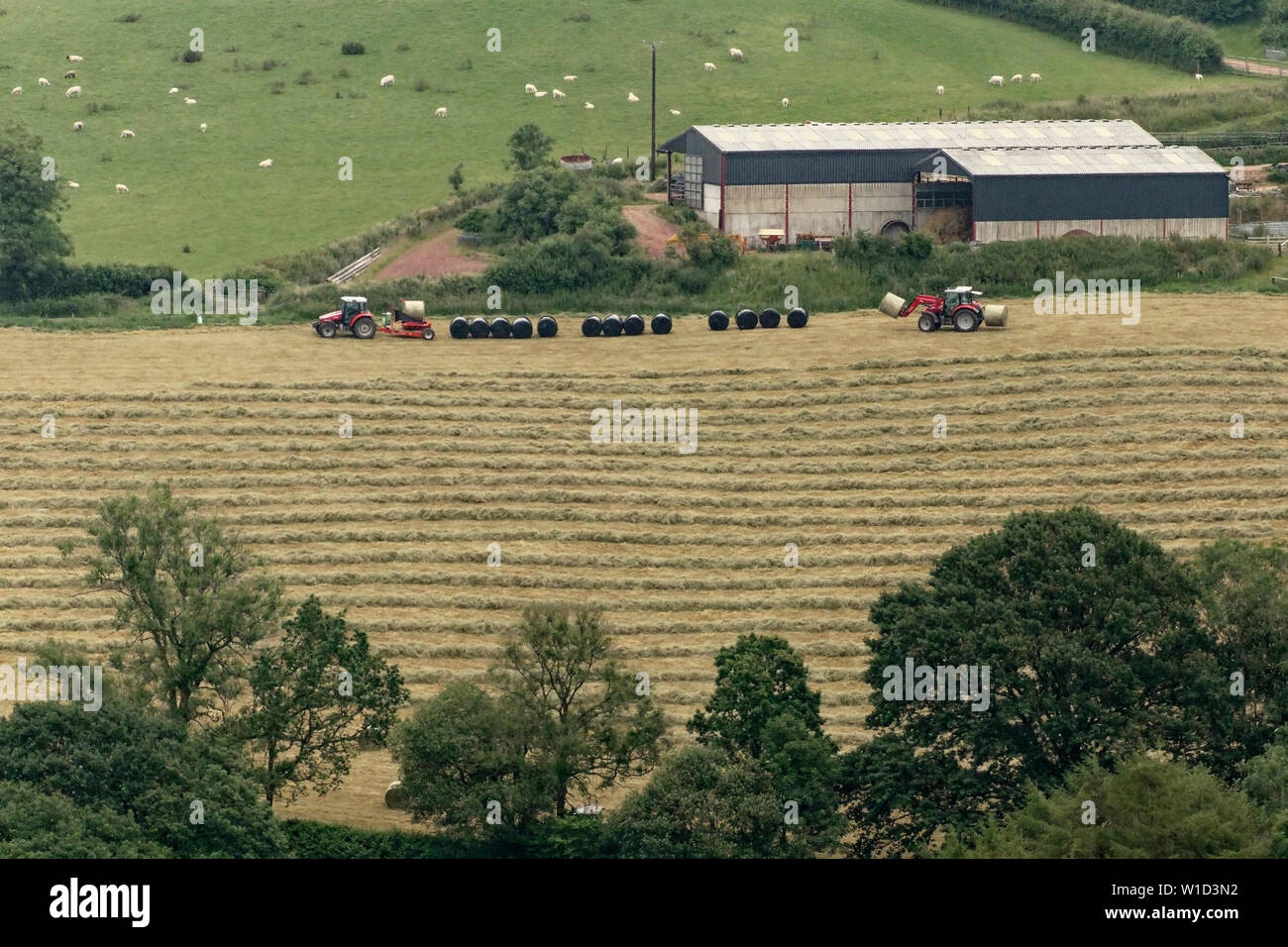 Hill Farm a Carreg Cennen Foto Stock